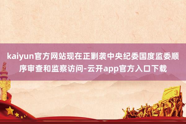 kaiyun官方网站现在正剿袭中央纪委国度监委顺序审查和监察访问-云开app官方入口下载