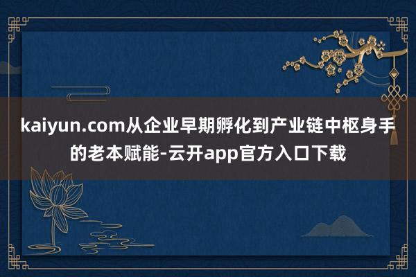 kaiyun.com从企业早期孵化到产业链中枢身手的老本赋能-云开app官方入口下载