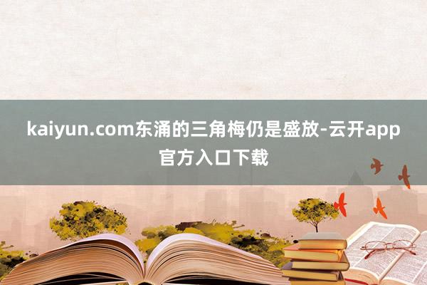 kaiyun.com东涌的三角梅仍是盛放-云开app官方入口下载