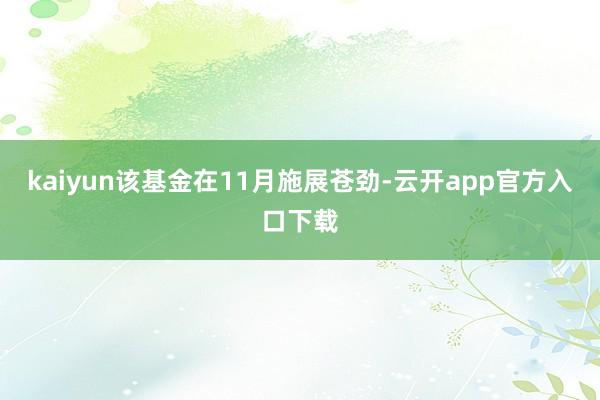 kaiyun该基金在11月施展苍劲-云开app官方入口下载