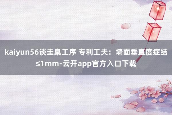kaiyun56谈圭臬工序 专利工夫：墙面垂直度症结≤1mm-云开app官方入口下载