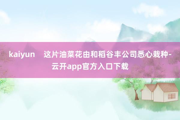 kaiyun    这片油菜花由和稻谷丰公司悉心栽种-云开app官方入口下载